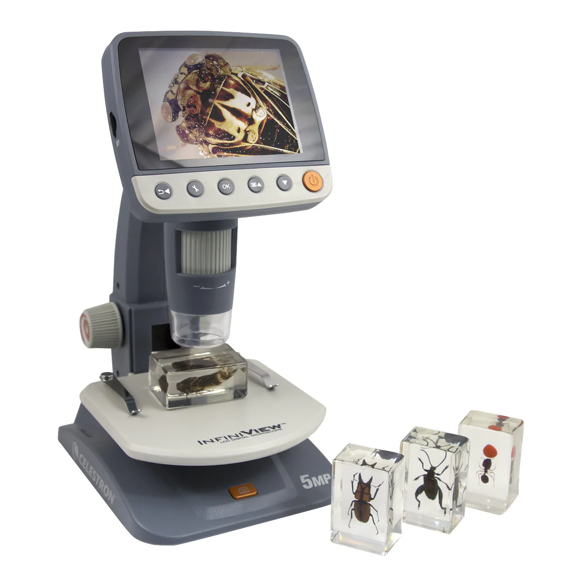 3D Bug Specimen Kit #3 - Image 3