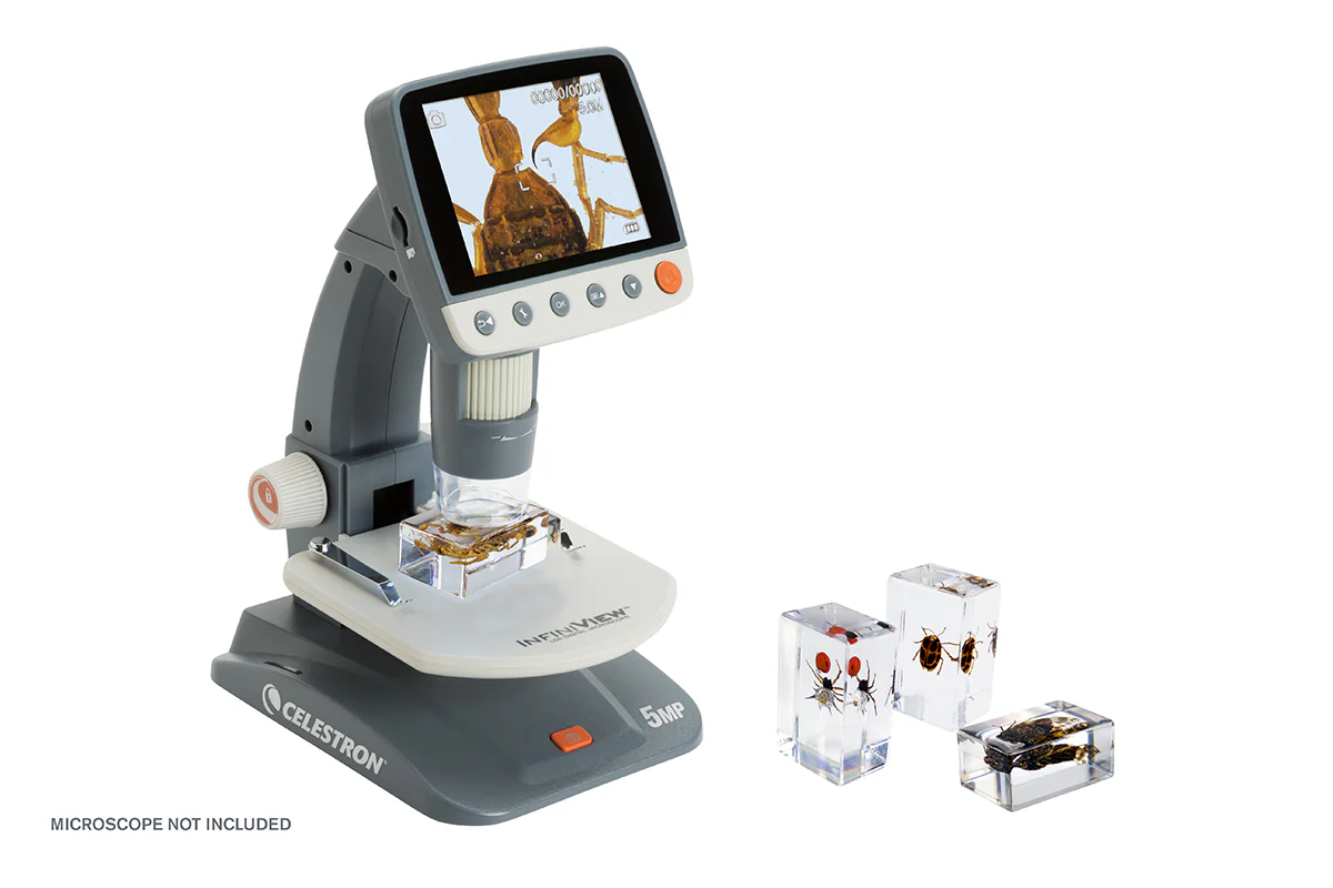 3D Bug Specimen Kit #4 - Image 2