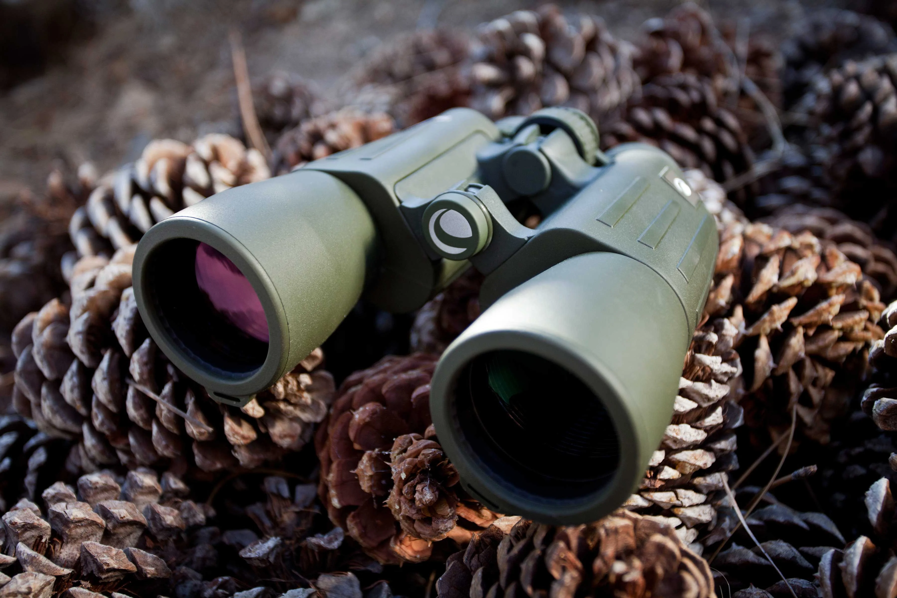 Celestron Cavalry 10x50mm Porro Binoculars - Image 10