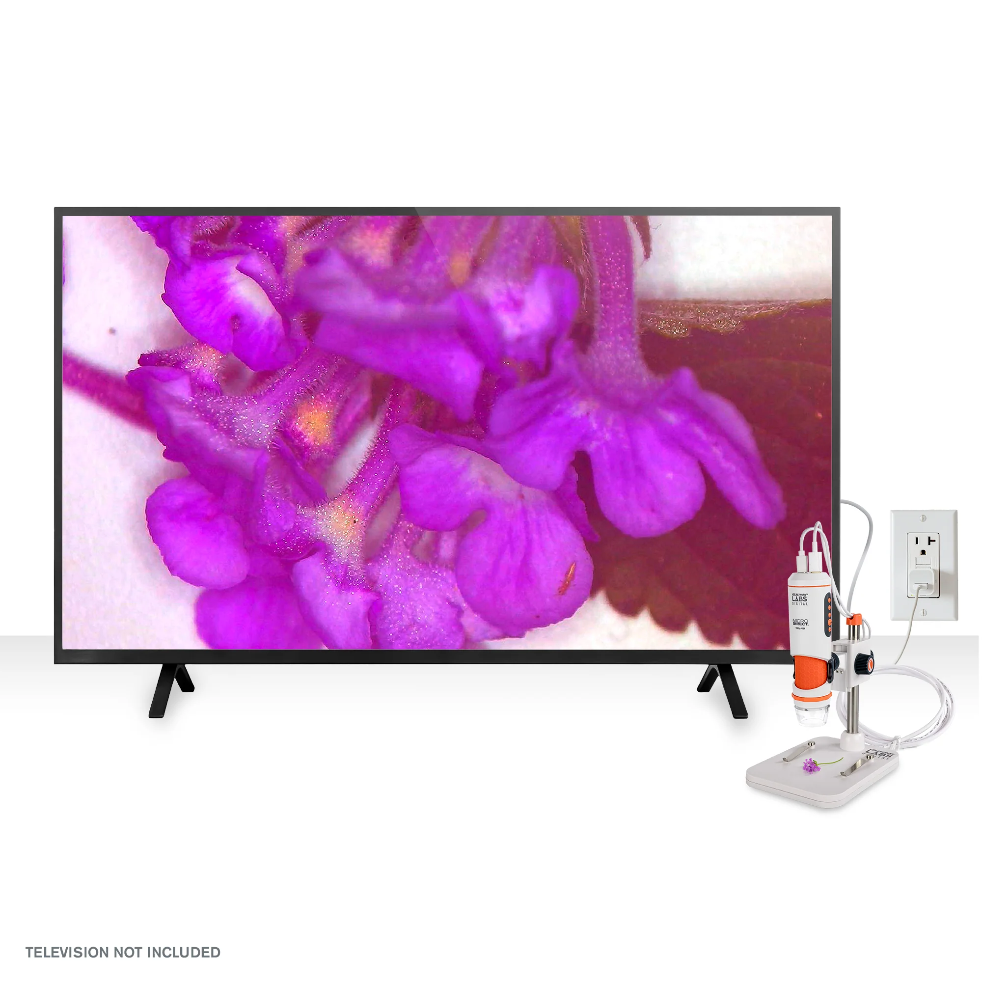 Celestron Labs Digital MicroDirect Microscope - Image 9