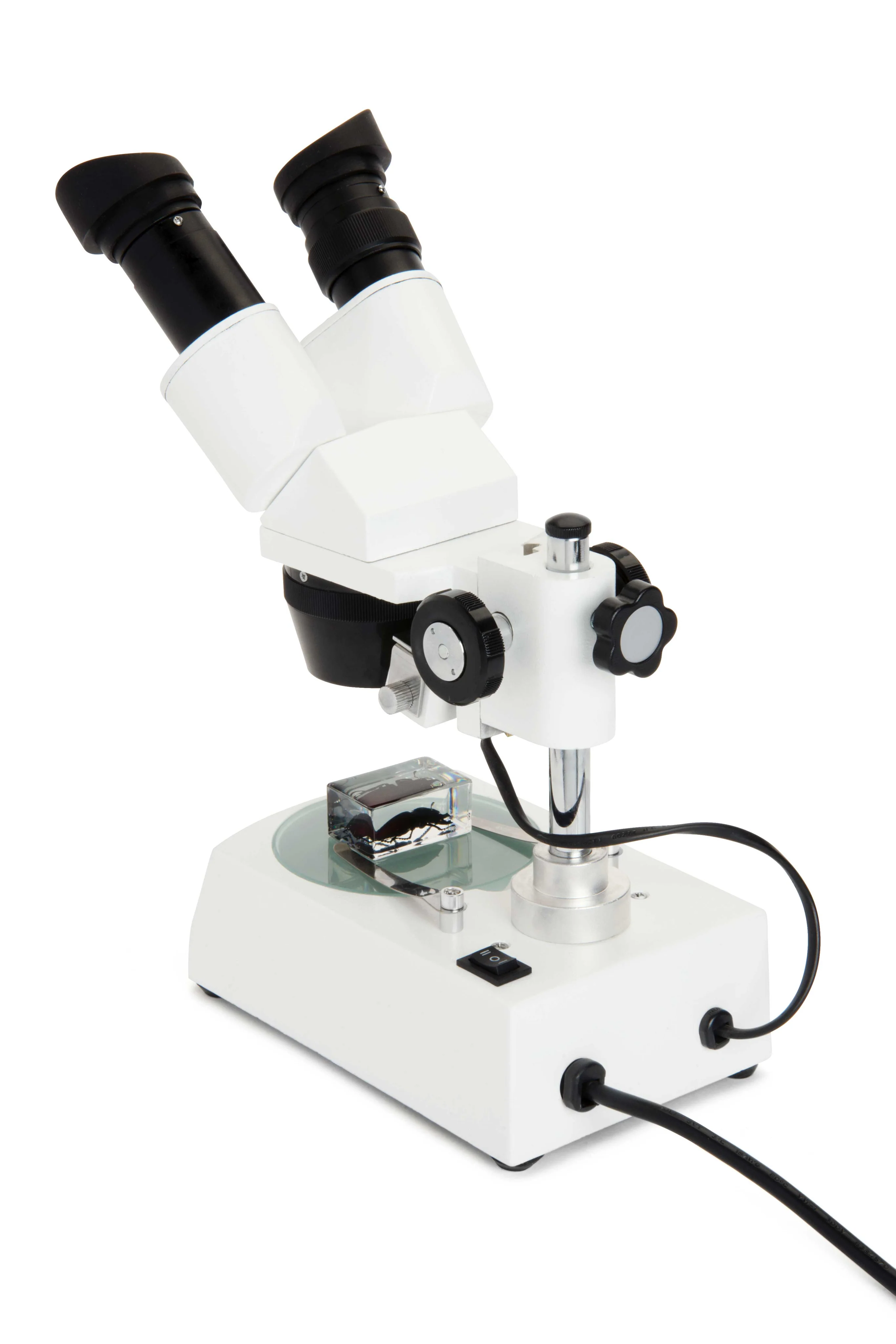 Celestron Labs S10-60 Stereo Microscope - Image 3