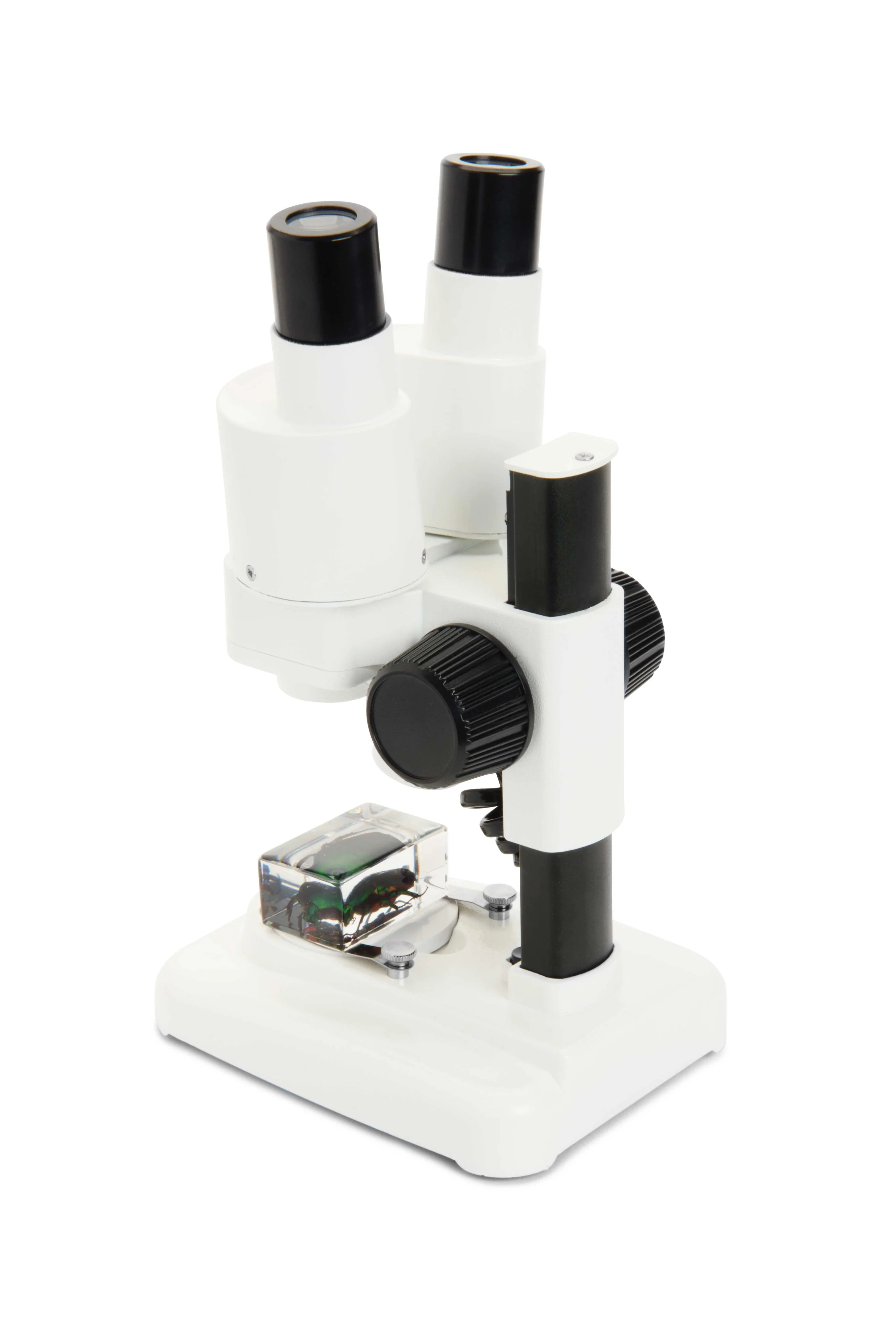 Celestron Labs S20 Stereo Microscope - Image 3