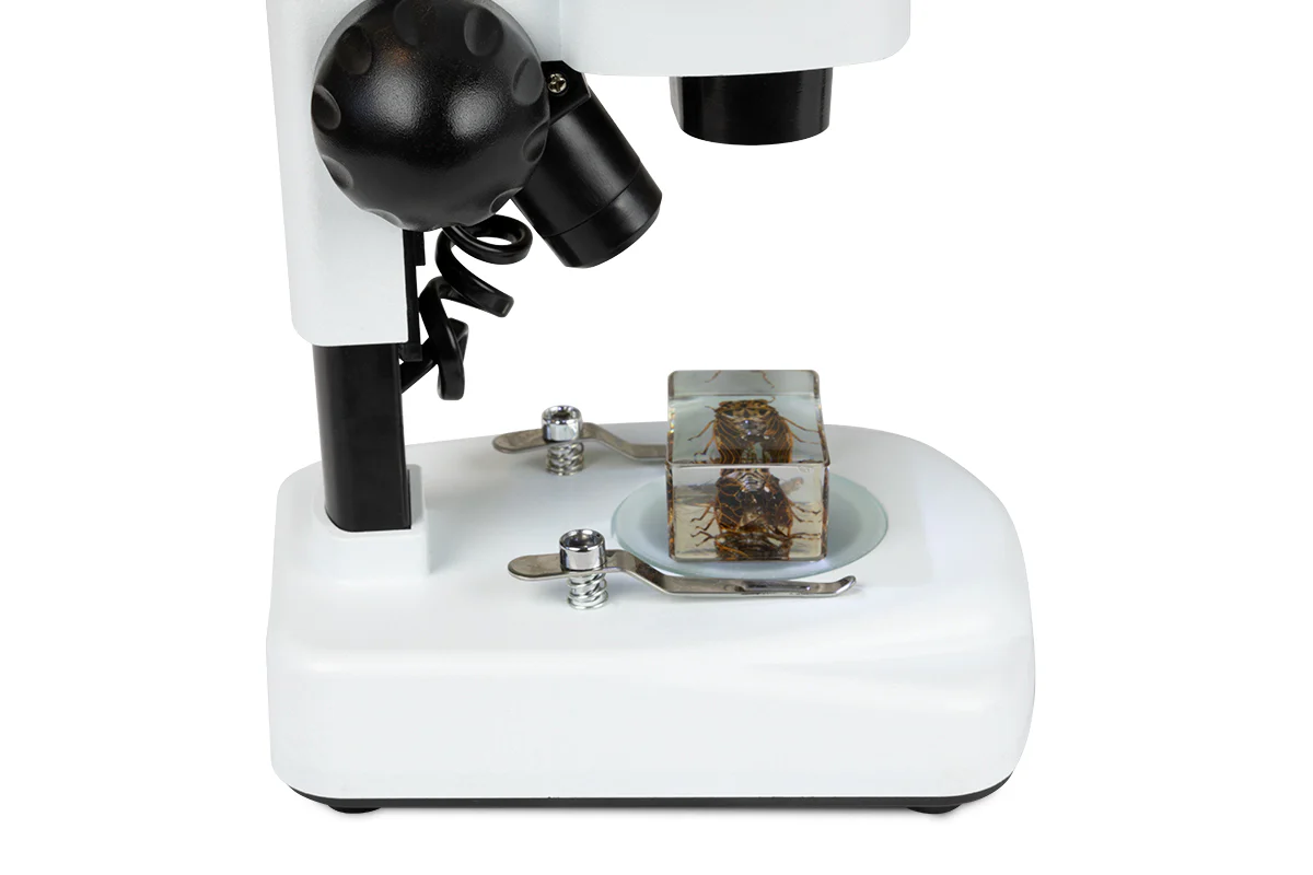 Celestron Labs S20 Angled Stereo Microscope - Image 7