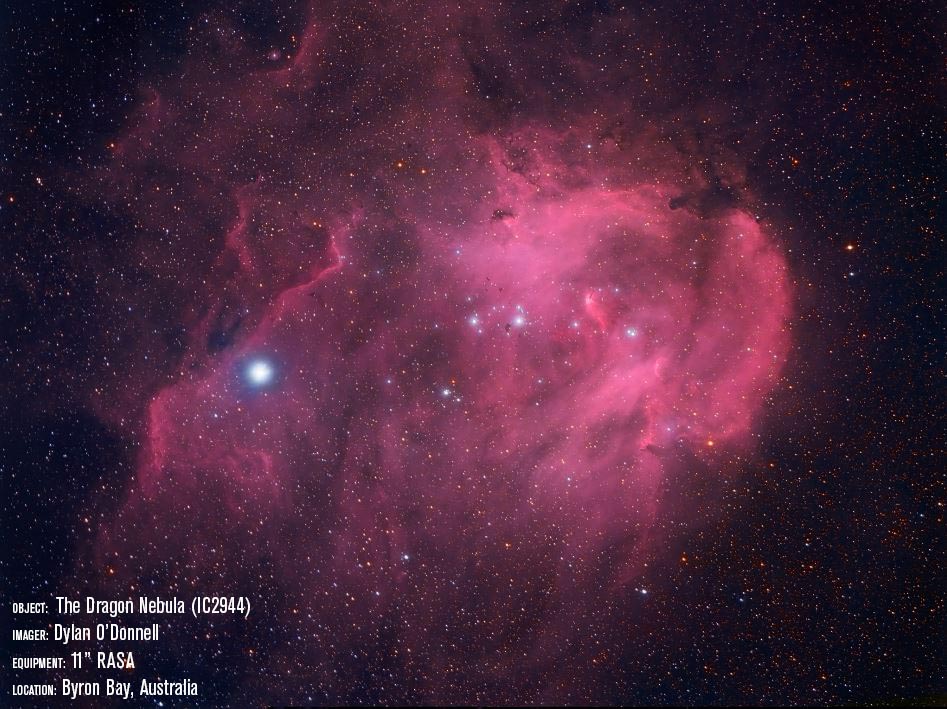 CGX 11" Rowe-Ackermann Schmidt Astrograph (RASA) Equatorial Telescope - Image 10