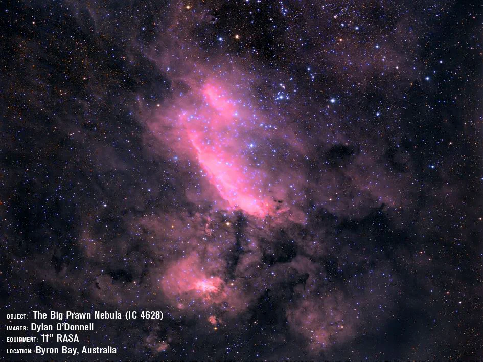 CGX 11" Rowe-Ackermann Schmidt Astrograph (RASA) Equatorial Telescope - Image 11