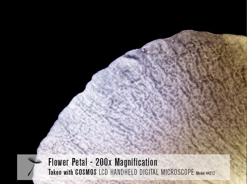 COSMOS 3 MP LCD Handheld Digital Microscope - Image 7