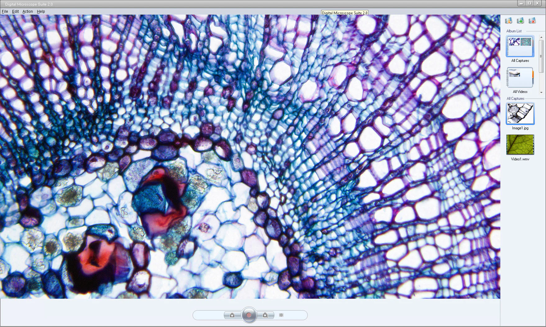 Digital Microscope Imager - Image 6