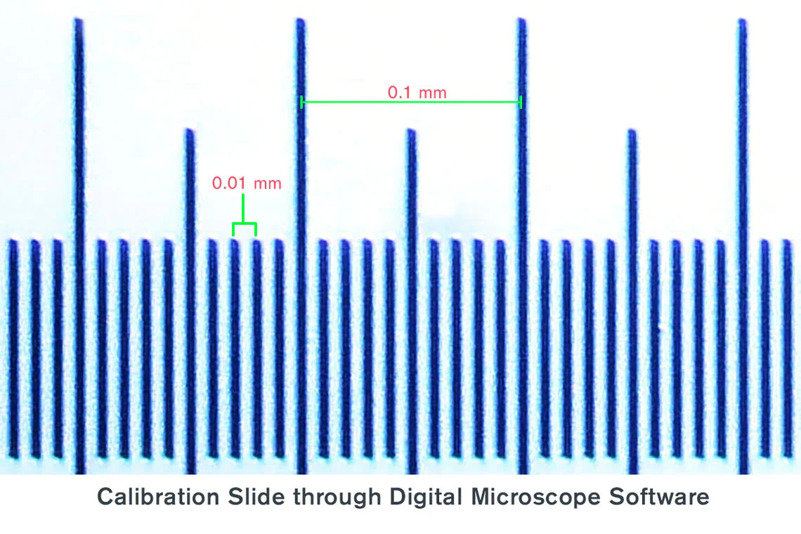 Microscope Calibration Slide - Image 4