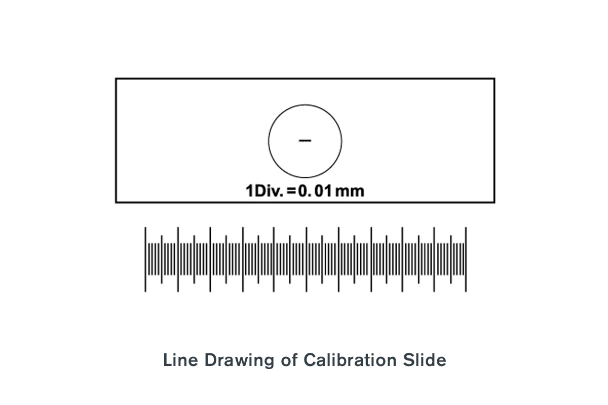 Microscope Calibration Slide - Image 5