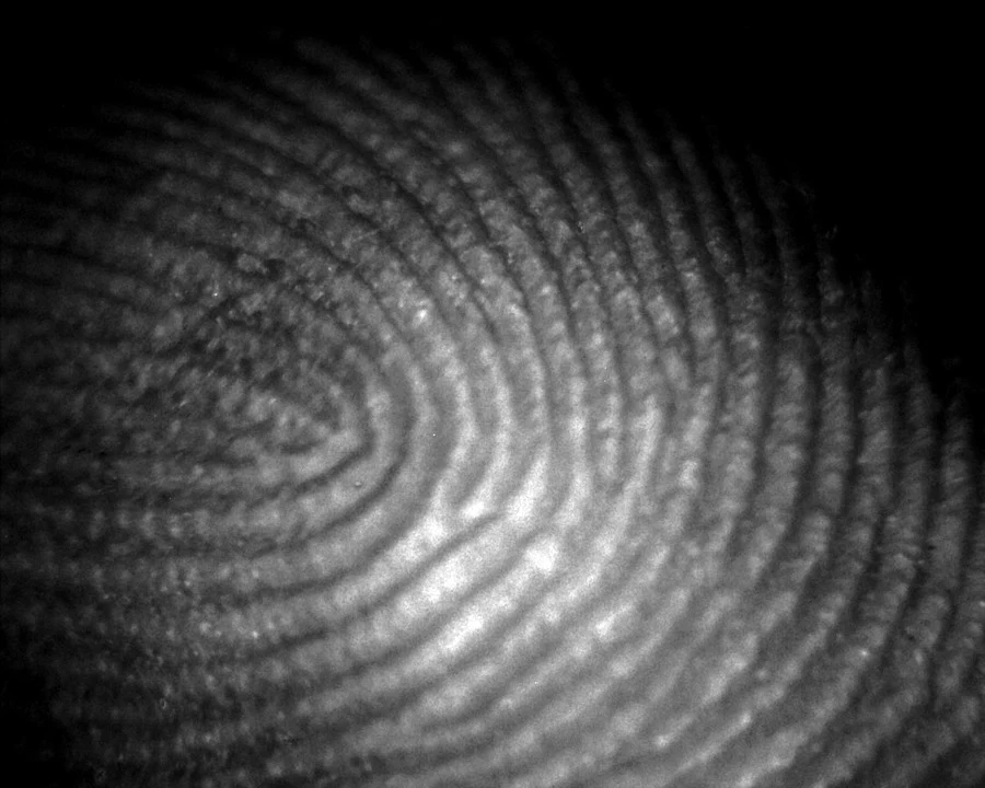 Mini Handheld Digital Microscope - Image 3