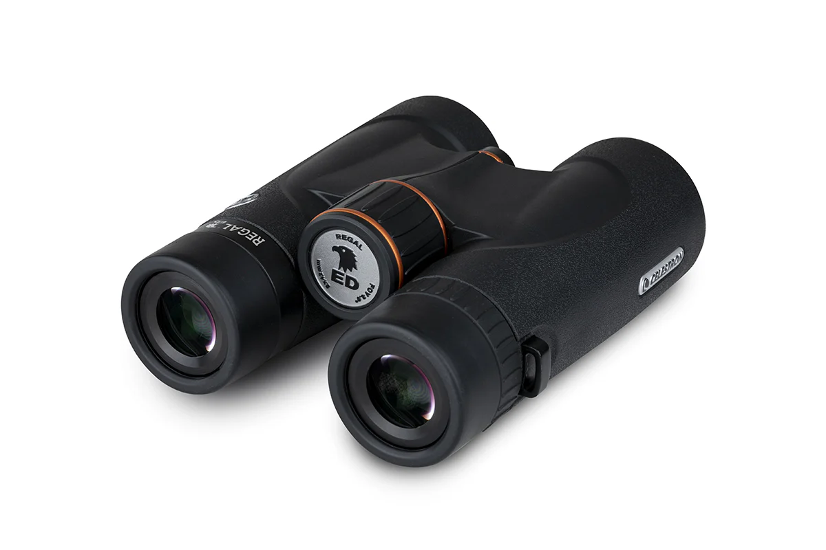 Regal ED 8x42mm Roof Binoculars - Image 2