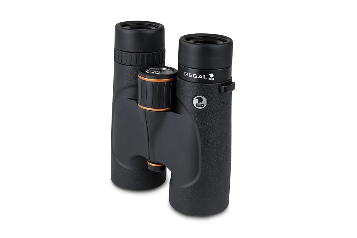 Regal ED 8x42mm Roof Binoculars - Image 4