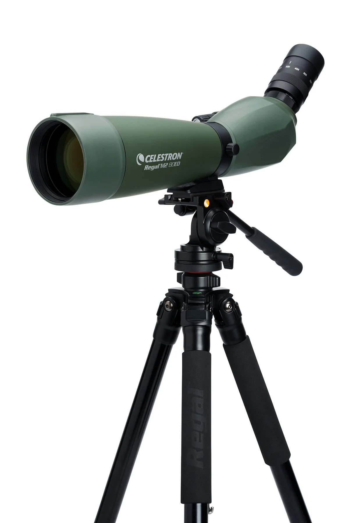 Regal M2 20-60x80mm ED Angled Zoom Spotting Scope - Image 8