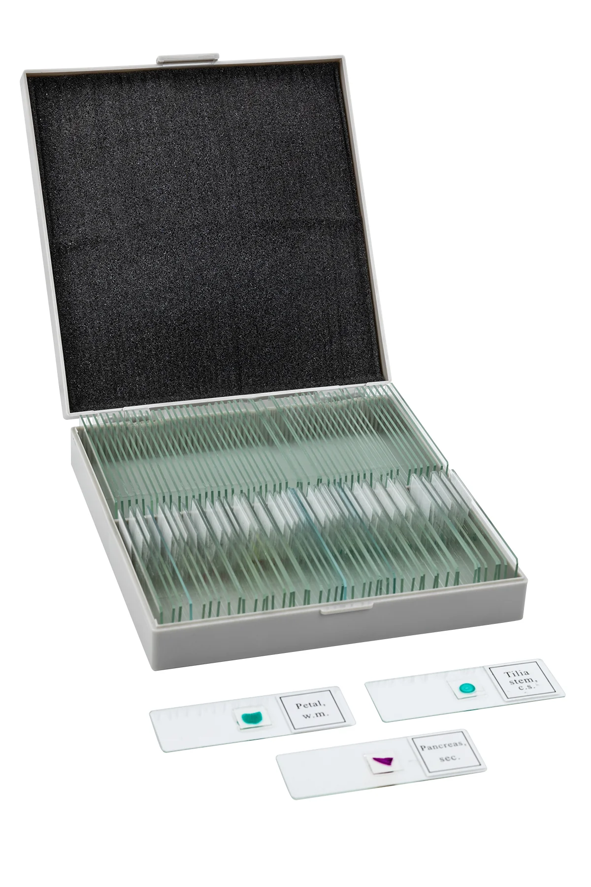 Used - TetraView LCD Digital Microscope with 100 Slide Kit - Image 11