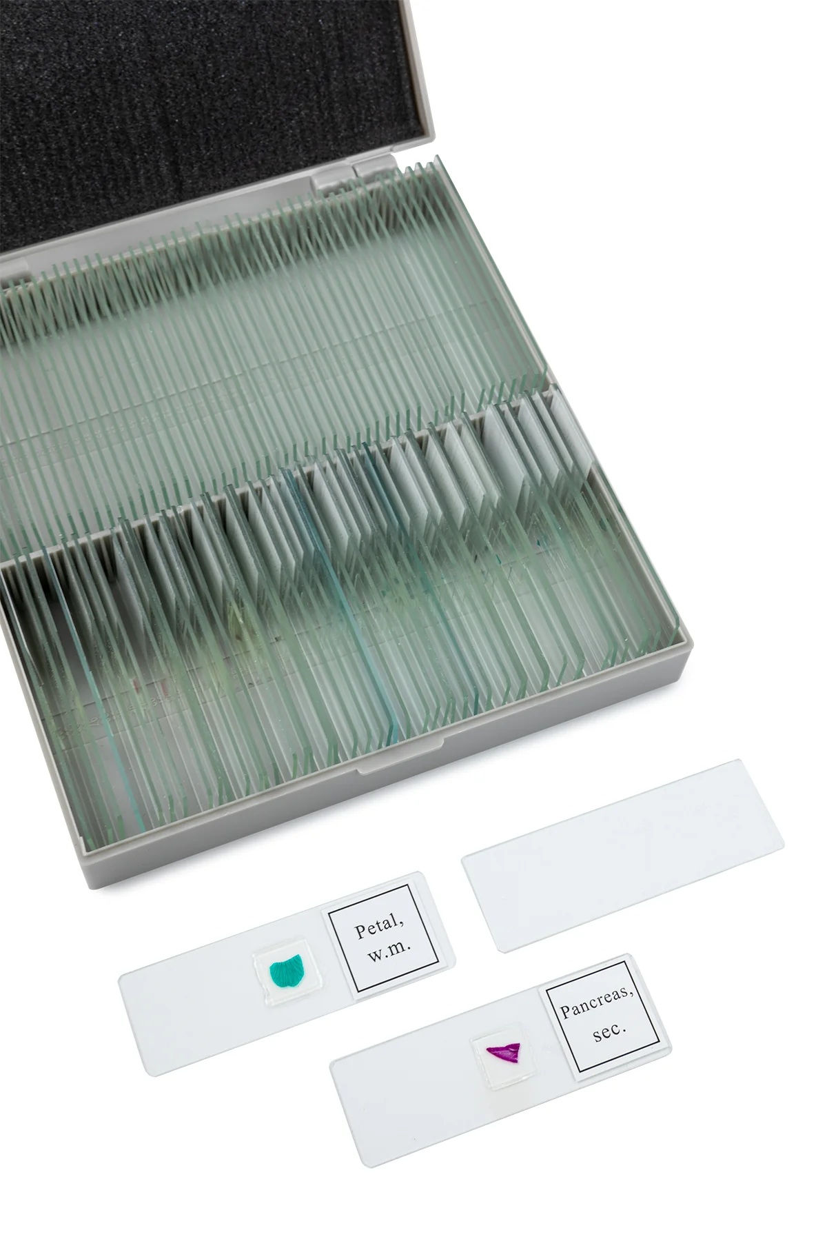 Used - TetraView LCD Digital Microscope with 100 Slide Kit - Image 12