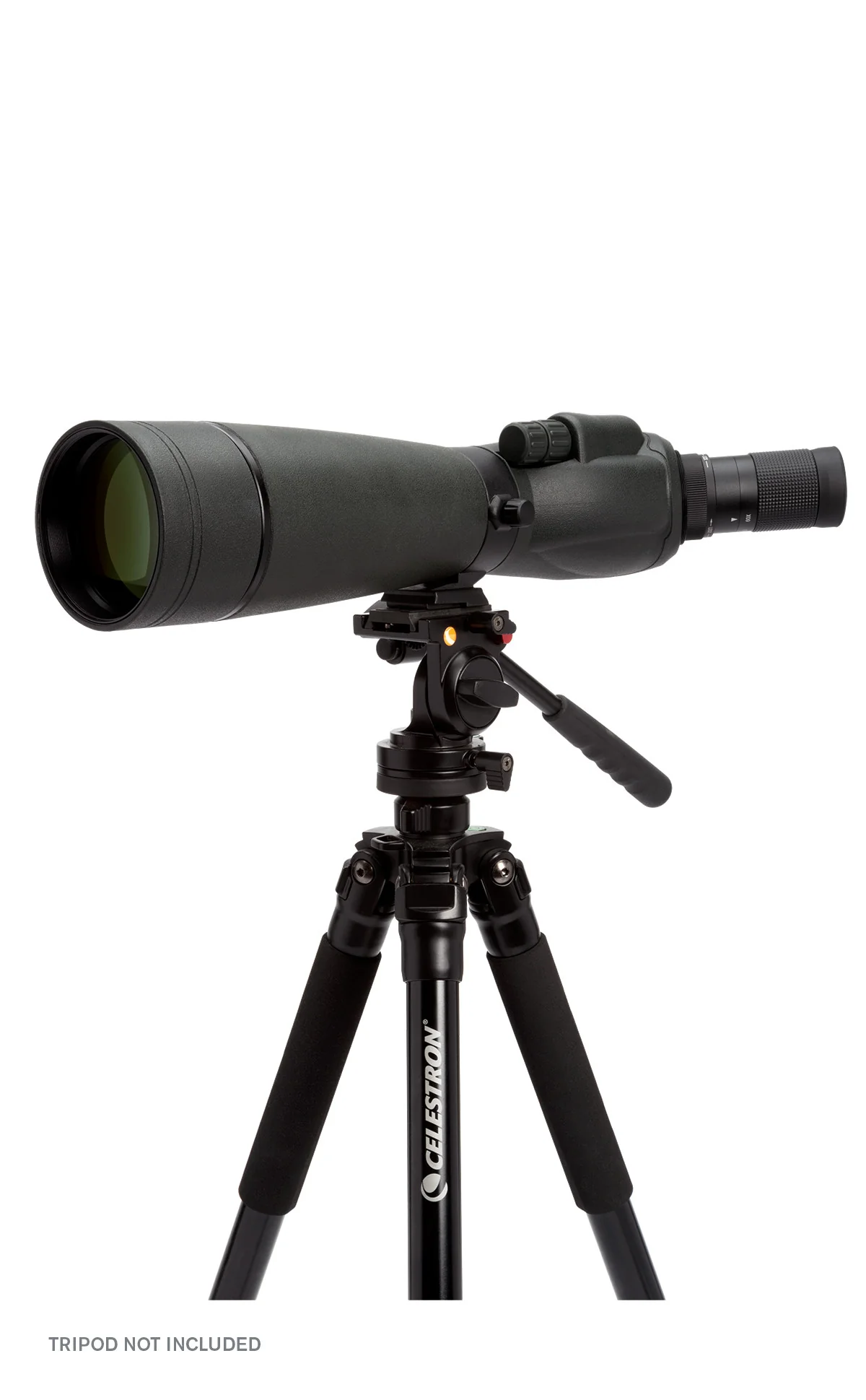 TrailSeeker 20-60x80mm Angled Zoom Spotting Scope - Image 11